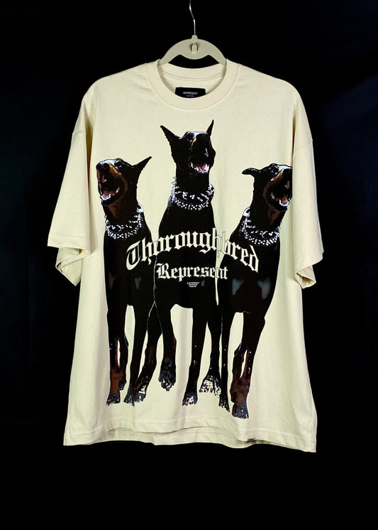 REPRESENT
"THOROUGHBRED"